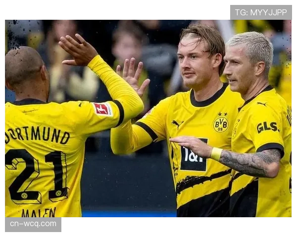 勒沃库森1-2多特蒙德，科法内替补破门难救主